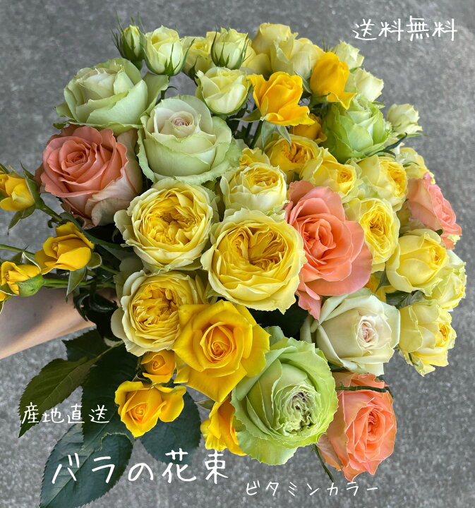 楽天市場 バラの花束 送料無料 お見舞い お祝い 花束 バラ 産地直送 バラの花 黄色のバラ 花言葉 友情 平和 愛の告白 傘寿 米寿 6000円 ビタミンカラー オレンジ 黄色 贈り物 快気祝い ボリューム満点 人気商品 Rosarium 田中バラ園楽天市場店