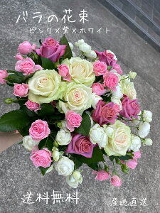 ỏԑ@@ỏԁ@́@@j@ʐ^Be@Be@6500~@sN@@@ԑ@O[@@@Mtg@Cj@j@CeA@j