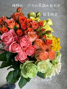 ỏԁ@lߍ킹@Yn@i@LO@25{@3000~@6930{3000~@ʐ^Be@Ԍ@KiO@ IW@CG[@CeA@o@ւ̂J