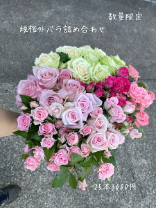 ỏ lߍ킹 sN낢 KN  o  ԑ a ỏԑ  Yn 25{3000~ p  LO v[g ւ̂J CeA ʐ^Be KiO sN