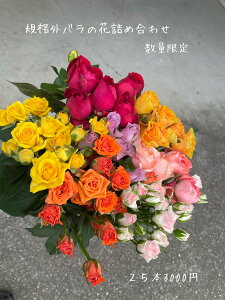 ỏԋlߍ킹 ~bNXJ[ Yn KiO pỏԑ VN 25{3000~ Ԍ 󂠂  ~bNXJ[n Jt C  ւ̂J ؂ KN  o