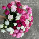 フラワーギフト バラ 薔薇 花束 誕生日 バラの花束 送料無料 店長shioriにおまかせ バラ花束 ピンク 敬老の日 ピンク系 ブーケ 産地直送 可愛い お見舞い 快気祝い お祝い お買い得 ボリューム満点 プロポーズ ピンクのバラ 誕生日、大切な方への贈り物に。