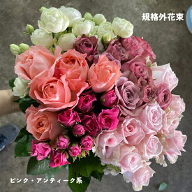 切り花 バラ 花束 薔薇 生花 花束 誕生日 バラの花 詰め合わせ アンティークピンク お買い得 写真撮影 動画撮影 産地直送 25本 3300円 特価 規格外 自宅用 ボリューム
