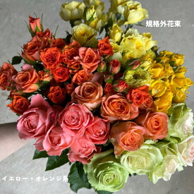 バラの花　詰め合わせ　産地直送　特価品　記念日　25本　3300円　　写真撮影　期間限定　規格外　お買い得 オレンジ　イエロー　インテリア　バラ　自分へのご褒美　プレゼント　カジュアル　数量限定