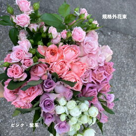 バラの花　詰め合わせ　写真撮影　動画撮影　産地直送　特価品　25本3300円　　訳アリ　記念日　規格外　お買い得 ピンク　紫のバラ　インテリア　バラ　自分へのご褒美　プレゼント　カジュアル　数量限定