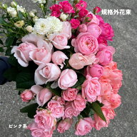 バラの花 詰め合わせ ピンクいろいろ 薔薇 生花 バラ 生花 花束 誕生日 バラの花束 特価 産地直送 25本3300...