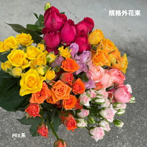 ỏԋlߍ킹 ~bNXJ[ Yn KiO pỏԑ VN 25{3300~ Ԍ 󂠂  ~bNXJ[n Jt C  ւ̂J ؂ KN  o