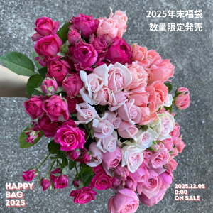 ỏԁ@2025lߍ킹 KN o ԑ  ԑ a ؂  ʐ^Be Be Yn 25{ 3000~  KiO p {[