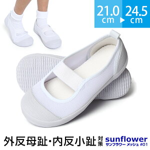 V[Y Tt[bV 傫TCY O  ΍ 㗚 C V[Y  sώ@ ̈l K  wZ qp ǂ LbY  zCg ʊw ʉ 21.