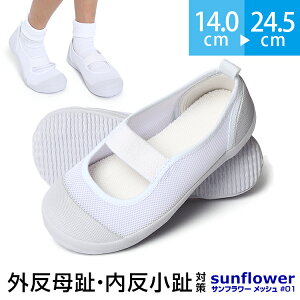 V[Y Tt[bV O  ΍ 㗚 C V[Y  sώ@ ̈l K  wZ qp ǂ LbY  zCg ʊw ʉ 14.0`20.5cm SH-KID00