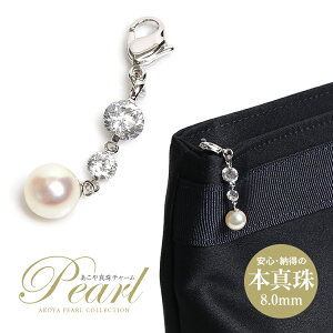 ^ `[ p[ L[z_[ ꗱ 8mm AR^  AR ^ {^ p[c ANZT[ zCg Eh Vo[ CHA-514 䂤pPbgΉ