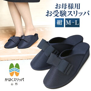  Xbp {   fB[X {  ʐ  wZw w  Ǝ  ی҉ ƎQ Qϓ 󌱃Xbp q[  킢  