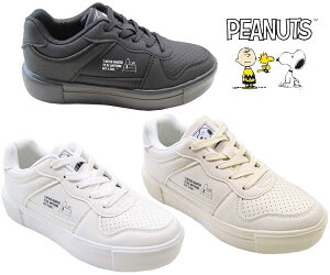 Xj[J[ fB[X Vv   y y  zCg x[W ubN Xk[s[ EbhXgbN `[[EuE C fB[XV[Y PEANUTS s[ibc PN8299