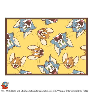 uPbg Ђ| gƃWF[ mCW[tFCX TCYFH70×W100cm uPbg Ђ| ѕz LN^[G 4105035900 }V