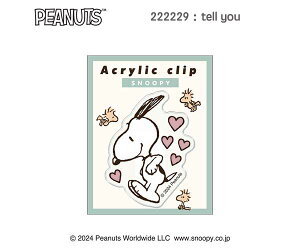 Xk[s[ Nbv ANNbv s[ibc  Xe[Vi[ MLp { SNOOPY LN^[ObY LN^[G 222228 222229 J~IWp