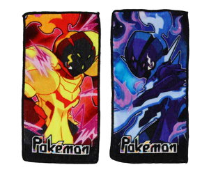 |PbgX^[ ~j^I 2PZbg |P ~j^I 2g XJ[bgEoCIbg PK43680 100×200mm ^I v`^I nh^I ϔ