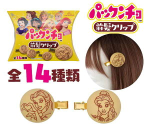 pbN` ONbv fBYj[ V[Nbg Xi  fBYj[vZX LN^[G CN փAANZ PKC41054