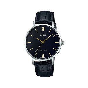 JVI rv `[vJVI LTP-VT01L-1B ubN fB[X CASIO