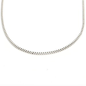 _jGEFg lbNX Daniel Wellington Box Chain Necklace S DW00400555 Vo[ Vv fB[X DANIEL WELLINGTON