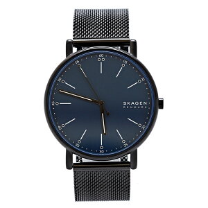 XJ[Q rv EHb`XgbvZbg SIGNATUR SKW6933SET u[ ubN 40MM Y SKAGEN