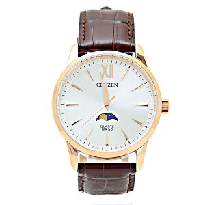 �V�`�Y�� �r���v �����Y �V���o�[ �u���E�� AK5003-05A CITIZEN