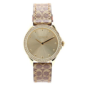 �R�[�` �r���v ���f�B�[�X MODERN SPORT �S�[���h �u���E�� 14503218 COACH