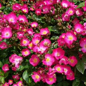 oc@2N劔c@BtGN@Y[Y@@4@