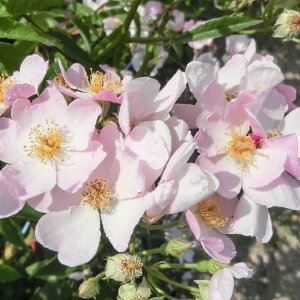 oc@2N劔c@sN}WbN@Y[Y@@4@