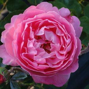 oc@2N劔c@Iih_r`@mX^WbN@@4@