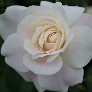 oc@2N劔c@ubVACXo[O@ց@4@