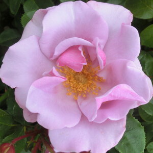 oc@2N劔c@u[x[q@AJ[Y@ց@4@