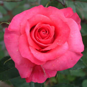 oc@2N劔c@sNVC@VCjOiIWij@ց@4@