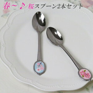 Lb` Jg[ XeXX`[ { Xv[ sNEF v2{Zbg FR[q[ fU[g HEe[upi H eB[Xv[ iCt tH[N  Ce