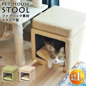 VI ybgnEX Xc[ 2way t@ubNf XNGA^ 35cm 2FWJ L  lR  P[W gCv[h  ` OуlR gL }`J [Ƌ 