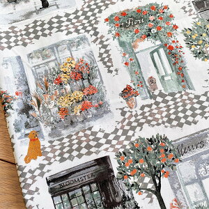 yUSARbgzԉ /  / ˂ vgn Florista Delight ART GALLERY FABRICS@PLE96108-AGF