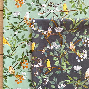 yUSARbgz /  / ؂̎ vgn Melodic Plumage Day / NightART GALLERY FABRICS@PLE86100-PLE96100_AGF