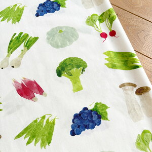 yKAYO AOYAMAzvegetables / vgnfUCi[Yt@ubNRbg / fW^vg