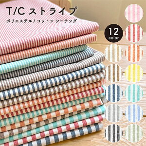 T/C XgCv nȃ| / V[`O /  Rbg |GXe (tc6013)