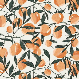 �yUSA�R�b�g���z�ʎ� / �A���v�����g���n / ART GALLERY FABRICS�@HEH-42780_AGF