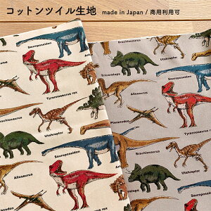  / _Ci\[ ȃcCn Rbg / D / }Ӂ@ kts6036-KK