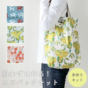 yLbgzDȂGRobOLbg(ecobagkit)