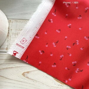 yUSARbgz / `F[vgn / ART GALLERY FABRICS@LOV14011-AGF