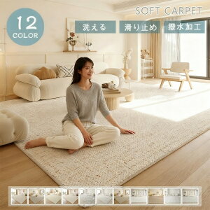 uԌE300~OFFN[|v O 􂦂 O}bg ` 140×200 􂦂 k 2 3 J[ybg ~ O~  tFCNJV~[ 唻 傫TCY I[V[Y  A