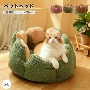 ybgxbh ~ Lpxbh ybgnEX ی^ Ԍ^ T{e ۉ ӂӂ 􂦂 N[V 킢  Lxbh ~ ΍ ybgpi NbV  ybgNbV