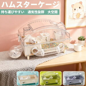 nX^[ P[W 7_Zbg 2KĎP[W 傫  P[W nEX pP[W  悭 H {g ܂킵 H 񂵎  oX[ ʋCQ E