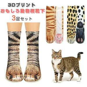 L C fB[X Y L̑ 3Dvg A C [\bNX 킢  LG  nEB RXv RX`[ L 킢  \bNX  