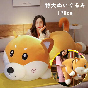 送料無料!特大ぬいぐるみ 秋田犬 柴犬 いぬ ワンちゃん 170cm 秋田犬 柴犬 プレゼント 贈り物 大きい巨大 バレンタインデー お誕生日 女性 カワイイ 抱き枕 クリスマス プレゼント ハムスタ