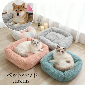 �u���Ԍ���E390�~OFF�N�[�|���v�y�b�g�x�b�h 66*56*18cm �� �x�b�h ���^ ���^ ��^���p �L�p�x�b�h �ӂ�ӂ� ���p�i �L�p�i �y�b�g�p�i �N�b�V���� �y�b�g�\�t�@ �􂦂�