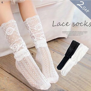 y 2Zbgz ̎q炵IV[X[ \bNX C [X LbYp qp ̎q [X\bNX bV ʋC   \   \  w Ǝ