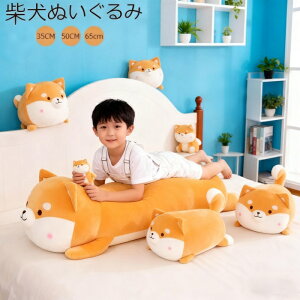 Č ʂ 傫  Č  A  ʂ _炩 ʂ ۂ  NbV _炩 ԉŉYl   RtH[gs[ @\ ֎q \t@ w 